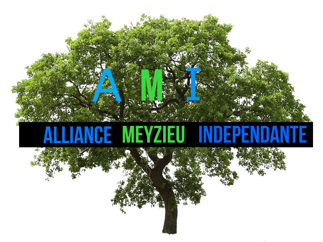 Alliance Mouvement Independant